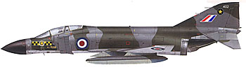 31sqd_XV402_camo.jpg (10174 bytes)