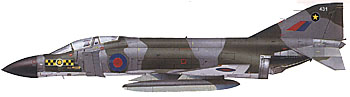 31sqd_XV431_camo.jpg (10031 bytes)