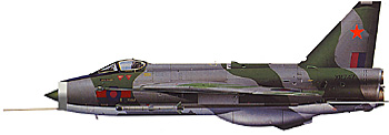 F3_laf_camouflage.jpg (17362 bytes)