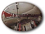Hangsharkshad.jpg (6536 bytes)