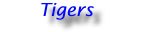 Hangtittit.jpg (2218 bytes)